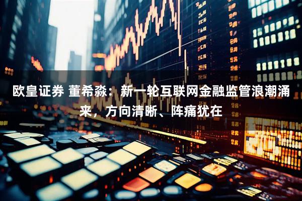 欧皇证券 董希淼：新一轮互联网金融监管浪潮涌来，方向清晰、阵痛犹在